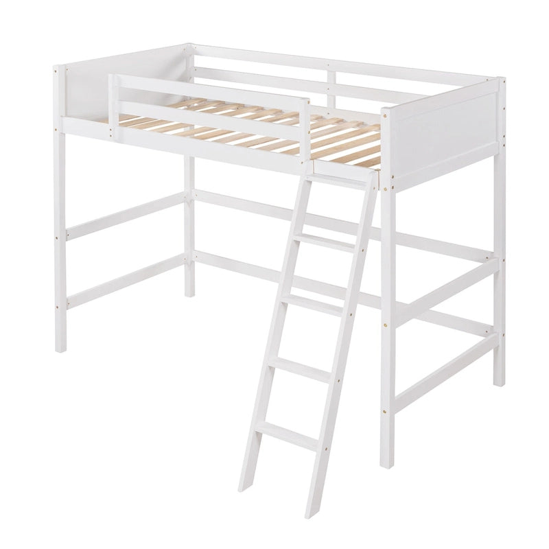 Twin Size Loft Bed with Ladder