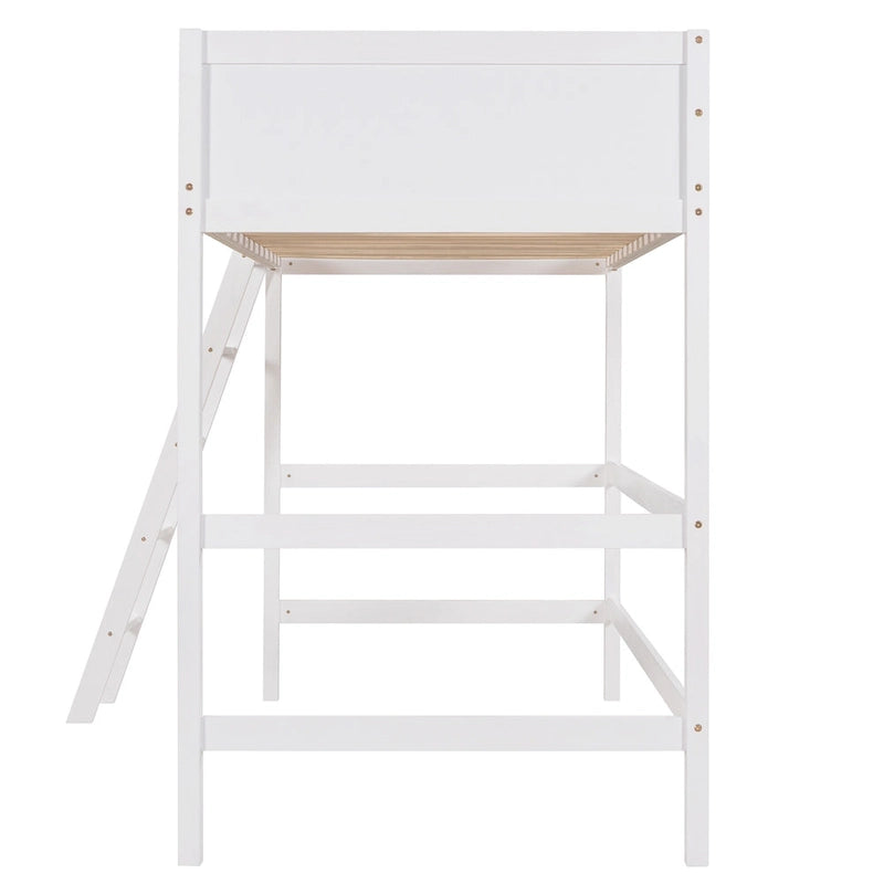 Twin Size Loft Bed with Ladder