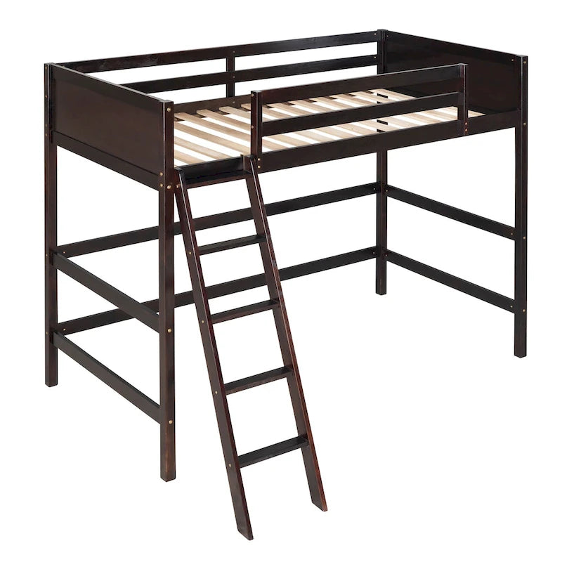 Twin Size Loft Bed with Ladder