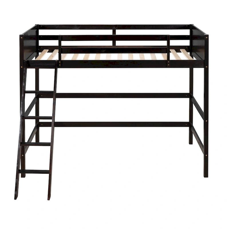 Twin Size Loft Bed with Ladder