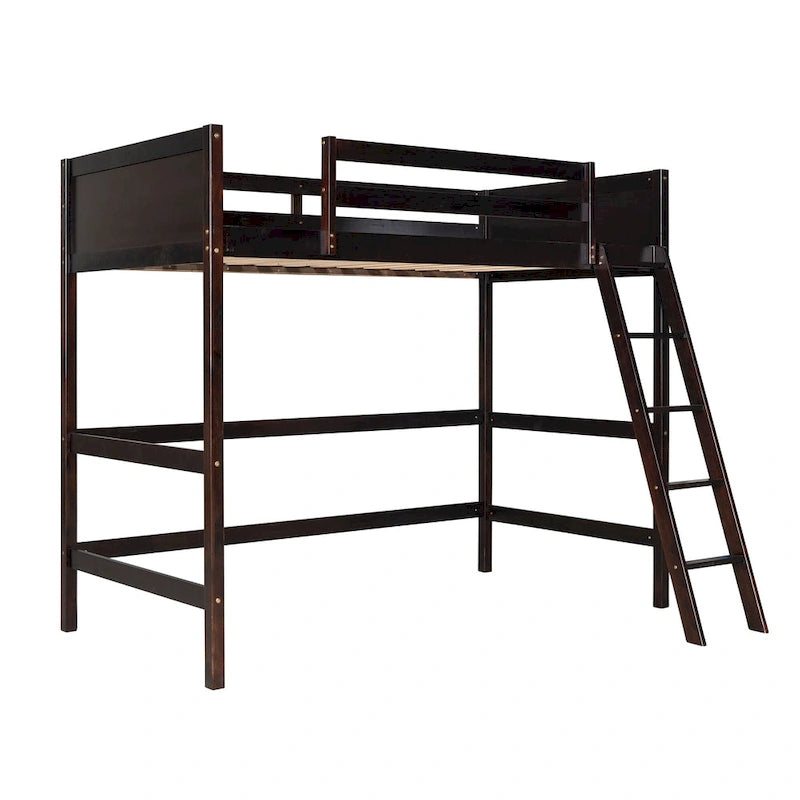 Twin Size Loft Bed with Ladder