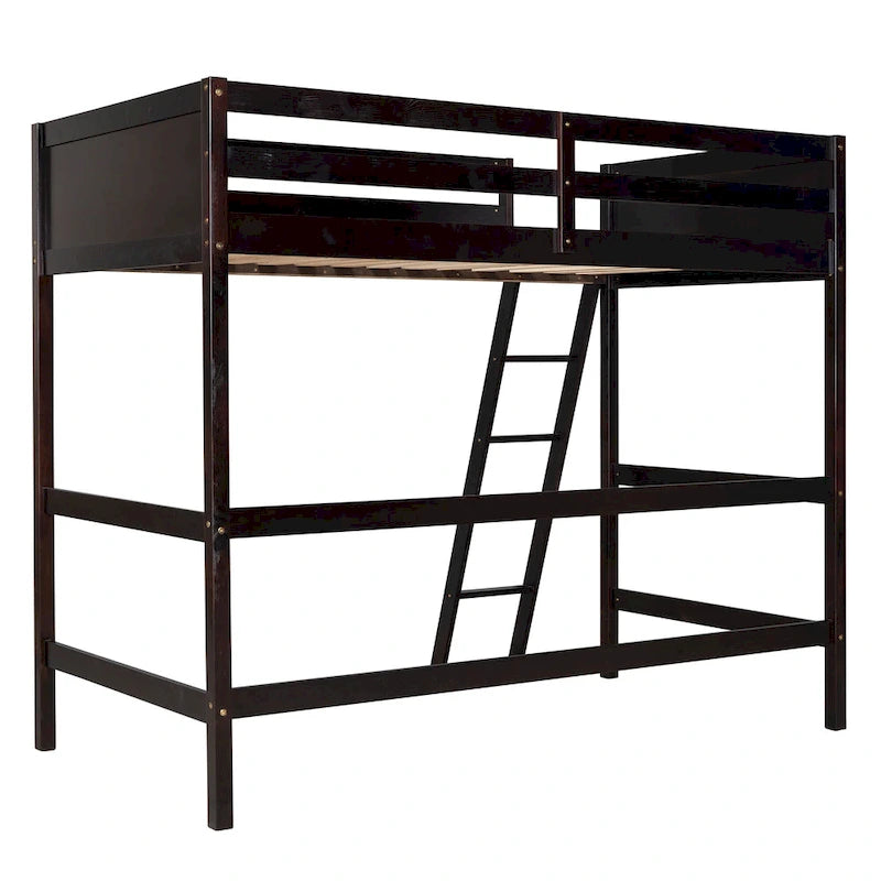 Twin Size Loft Bed with Ladder